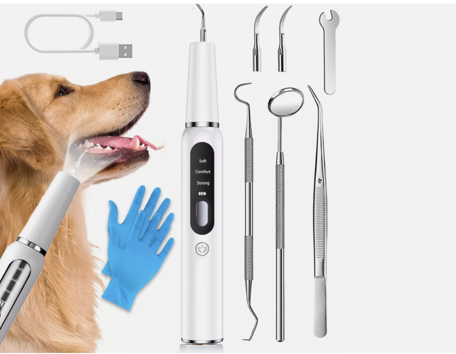 Pet Ultrasonic Scaler Toothbrush