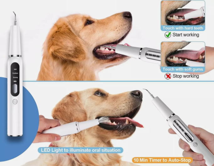 Pet Ultrasonic Scaler Toothbrush