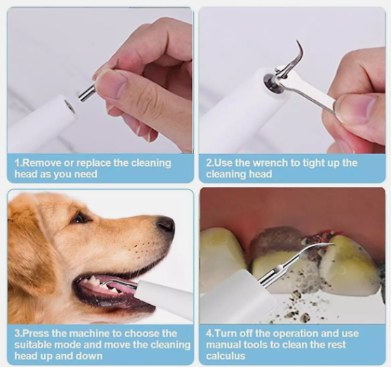 Pet Ultrasonic Scaler Toothbrush