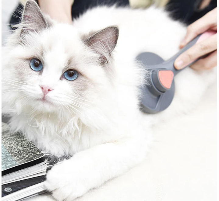 Pet Hair Removal Comb