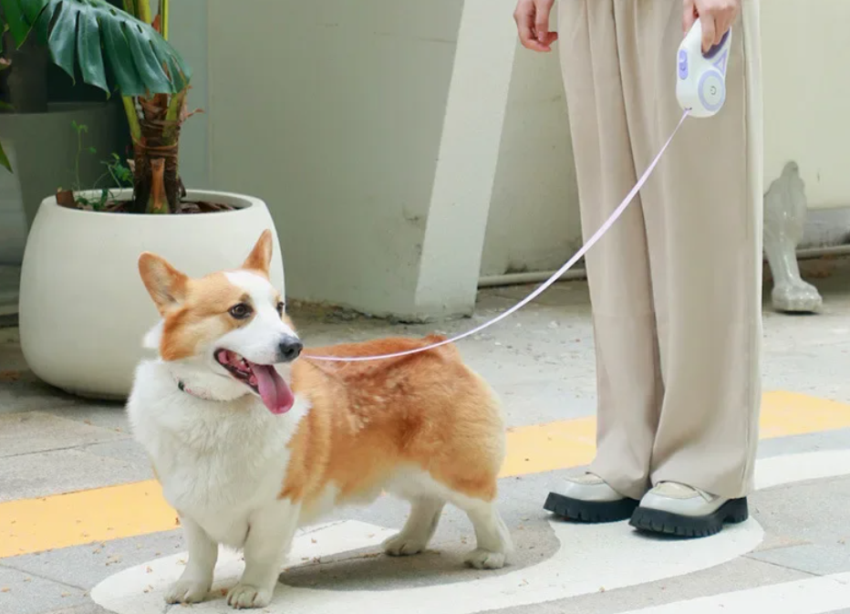 LED Retractable Dog Leash