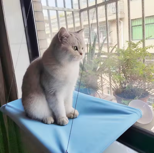 Cat Window Perch Hanging Bed