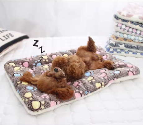 Beds & Blankets