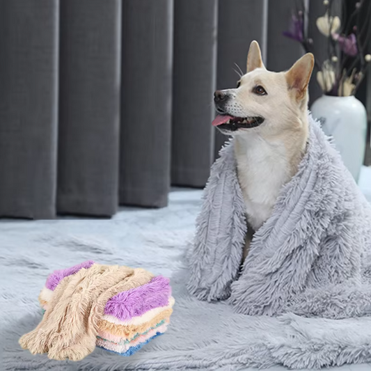 Plush n Fluff Pet Blanket, Throw and Cushion