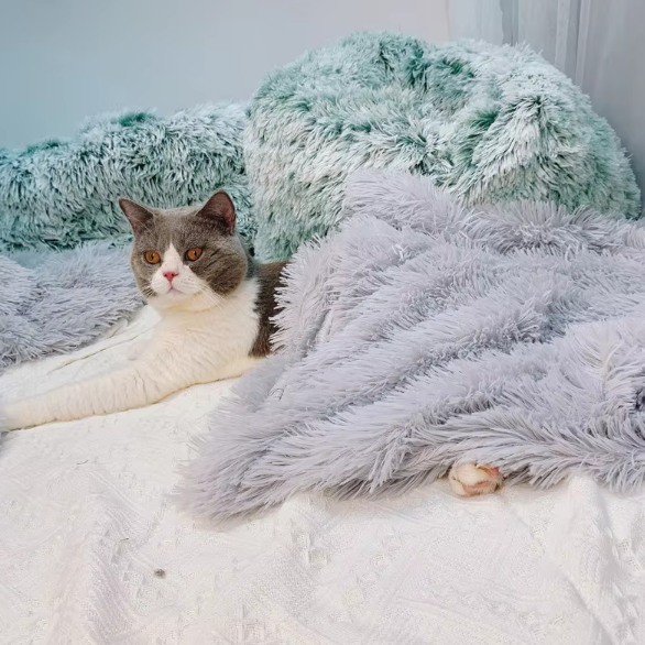 Plush n Fluff Pet Blanket, Throw and Cushion