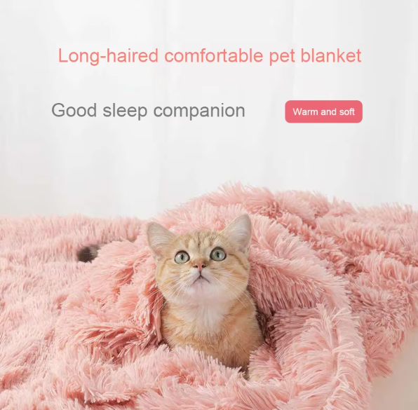 Plush n Fluff Pet Blanket, Throw and Cushion
