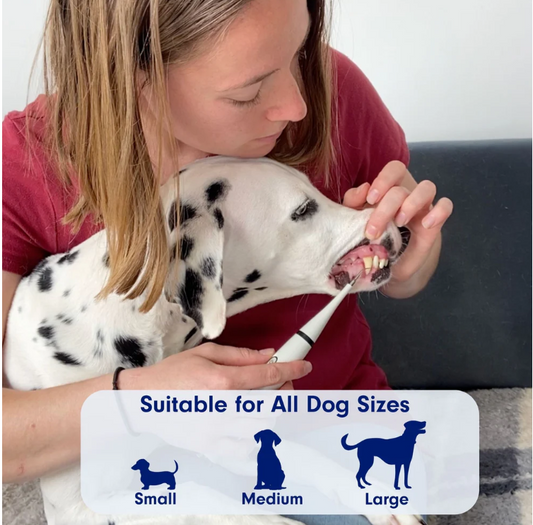 Pet Ultrasonic Scaler Toothbrush