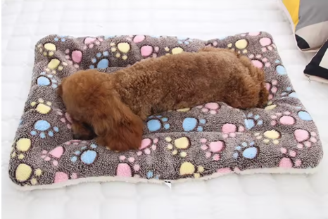 Soft Flannel Pet Pillow Mat Colourful