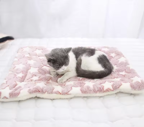 Soft Flannel Pet Pillow Mat Colourful