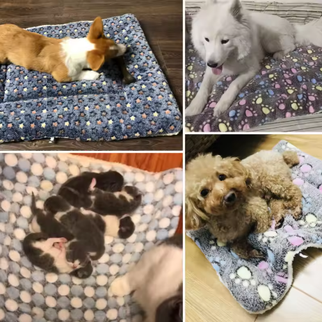 Soft Flannel Pet Pillow Mat Colourful